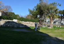 The Limits of Physical Courage